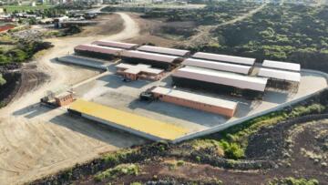 Kula Belediyesi Hayvan Pazarı, 13 Kasım Pazartesi Günü Yeniden Açılıyor