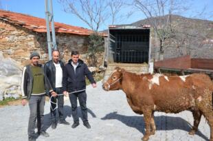 KULA’DA YILDIRIMIN YARALARINI AK PARTİ TEŞKİLATI SARDI